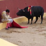 O imagine incredibila: Taurul care a imblanzit matadorul