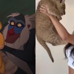 Scena cu Simba si cu ‘maimuta’ din Lion King reinterpretata (VIDEO)
